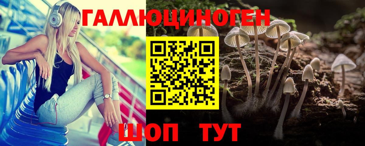 Псилоцибиновые грибы Magic Shrooms  Псилоцибиновые грибы мухоморы  Ковров  Вход с VPN 